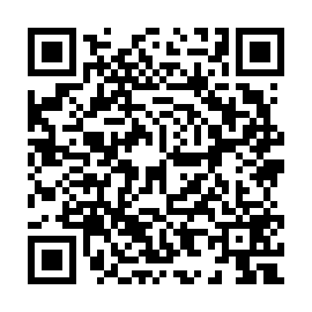 QR code for 8896593