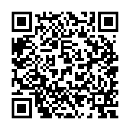 QR code for 895295Y