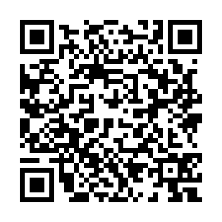 QR code for 8991343