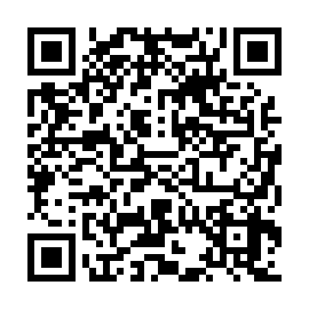 QR code for 8C20381
