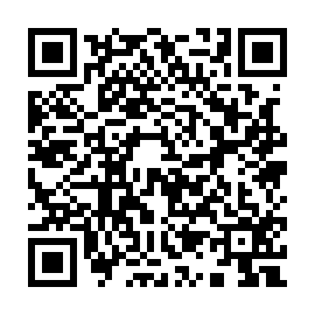 QR code for 9111161