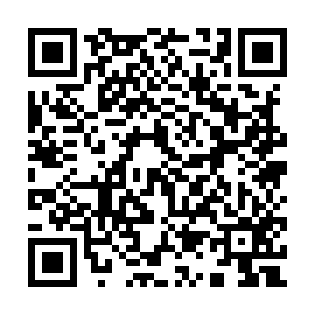 QR code for 911956X
