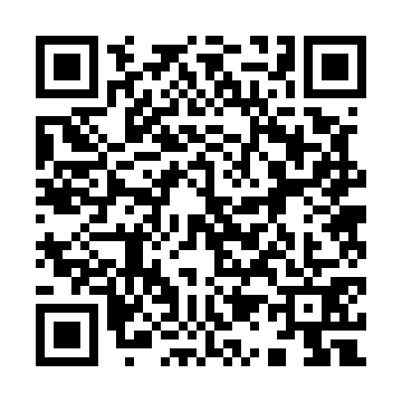 QR code for 9125713