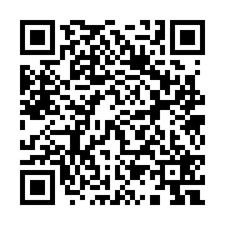 QR code for 9133294