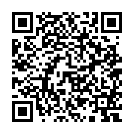 QR code for 9133848