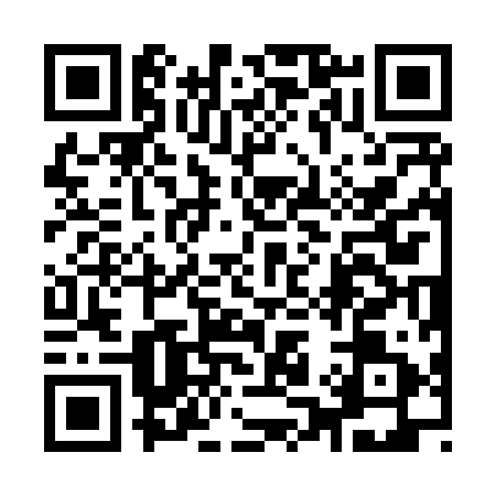 QR code for 9138919