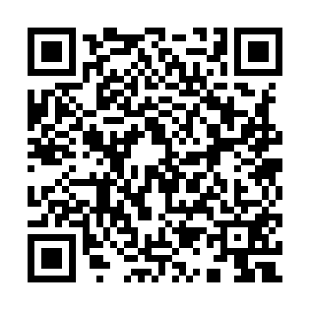QR code for 9139510