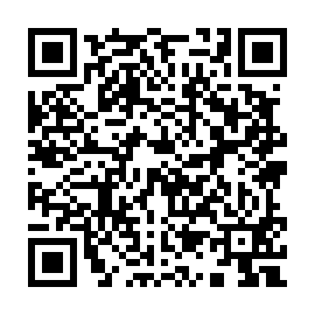 QR code for 919491Y