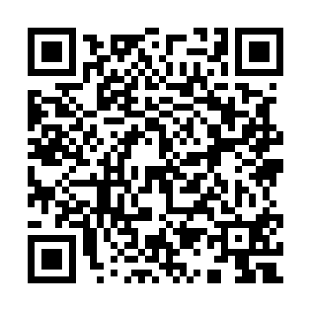 QR code for 919510Q
