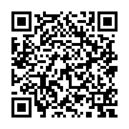 QR code for 9195111