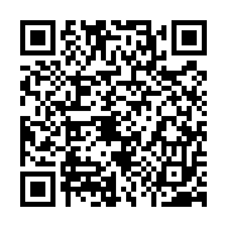 QR code for 919513A