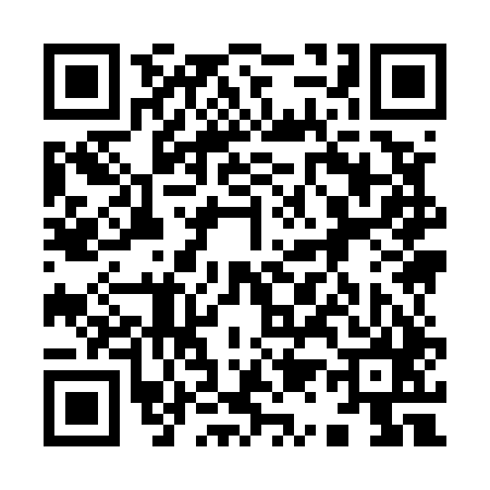 QR code for 919545Z