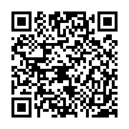 QR code for 919573P