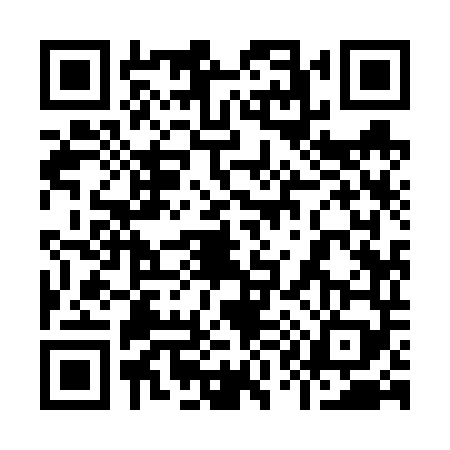 QR code for 9196499