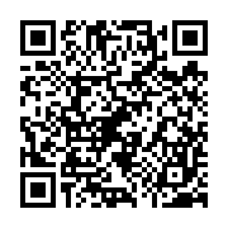 QR code for 919696L