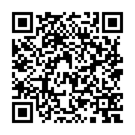 QR code for 9199763
