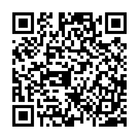 QR code for 9204533