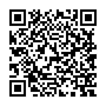 QR code for 9248763