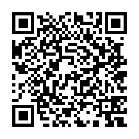 QR code for 925038Y