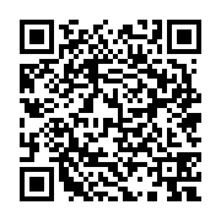 QR code for 9256384