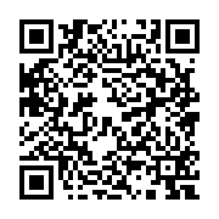 QR code for 938113Z