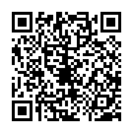 QR code for 950008S
