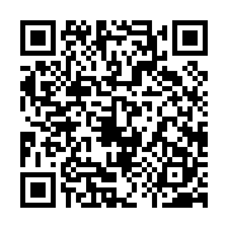 QR code for 9500226