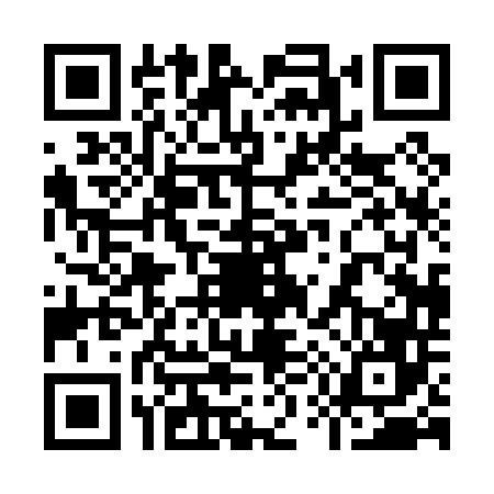 QR code for 9500463