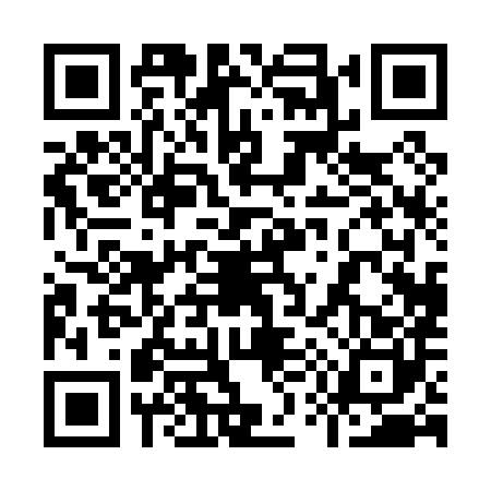 QR code for 9500803