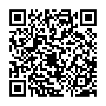QR code for 9500816