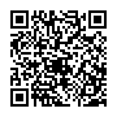 QR code for 9501065