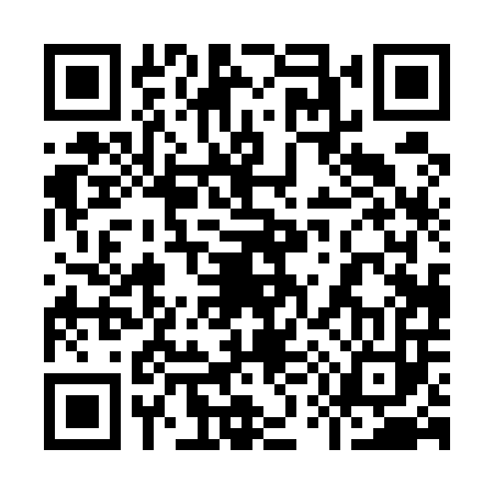 QR code for 950503V