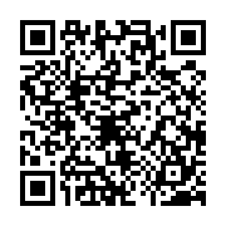 QR code for 9505743