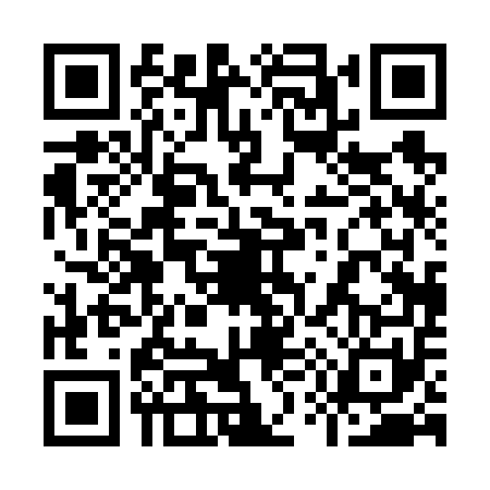 QR code for 9506513