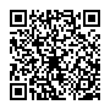 QR code for 9509000