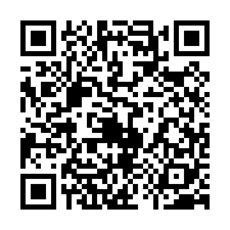 QR code for 9510685