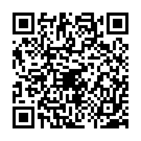 QR code for 951117X