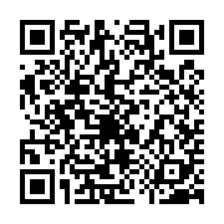 QR code for 953509X