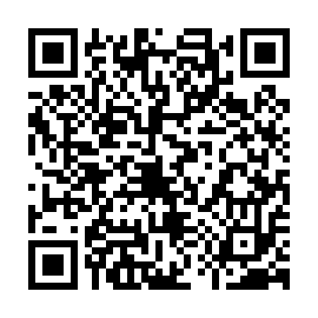 QR code for 955013H