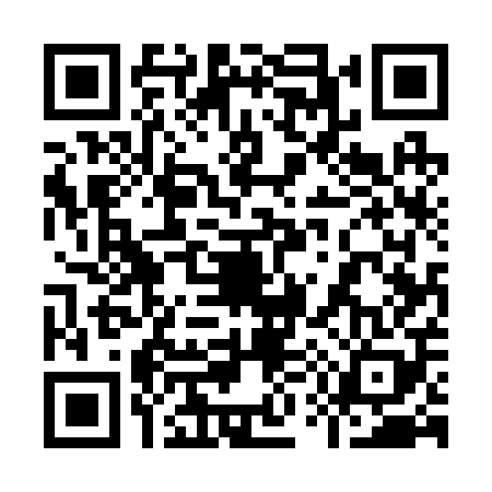 QR code for 955208X