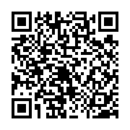 QR code for 955638T