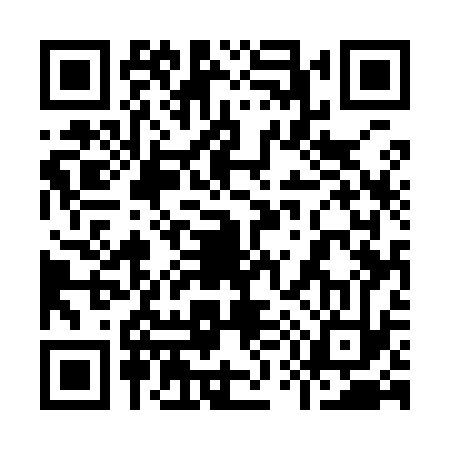 QR code for 955933S