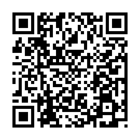 QR code for 956566X