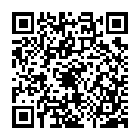 QR code for 9566662