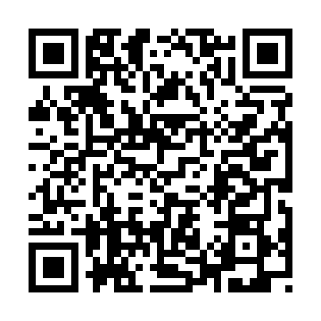 QR code for 9581688