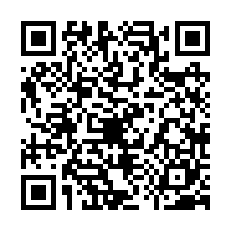 QR code for 9582655