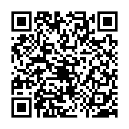 QR code for 9593791