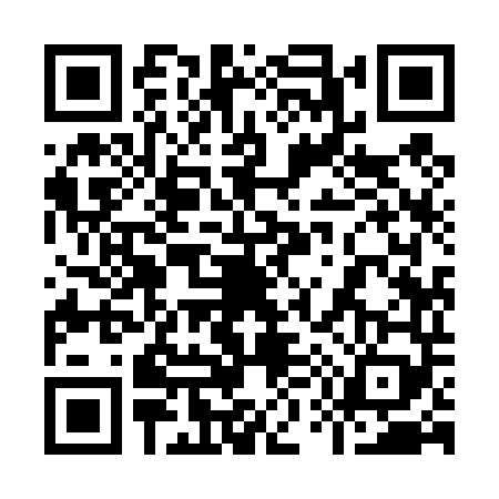 QR code for 9594493