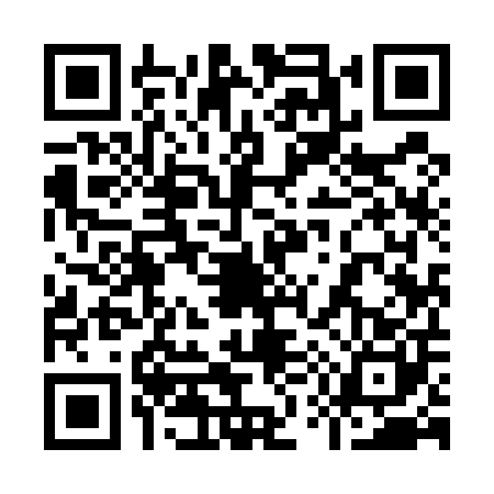 QR code for 9595001