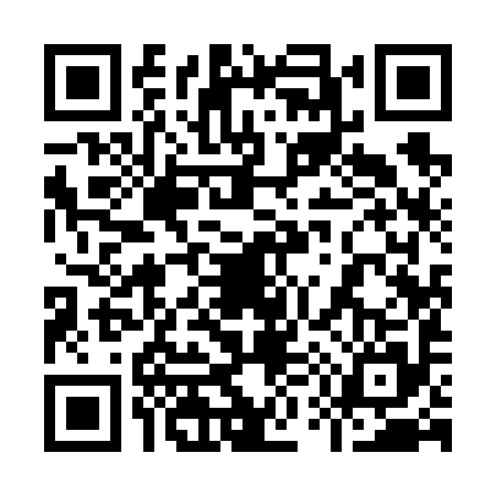 QR code for 9596956